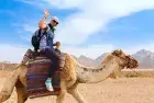 Camel ride Sinai desert Sharm — part of the desert adventure tour combining ATV and camel
